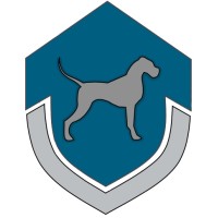 SB Dog files logo, SB Dog files contact details