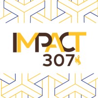 IMPACT 307 logo, IMPACT 307 contact details