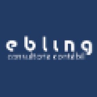 Ebling Consultoria Contábil logo, Ebling Consultoria Contábil contact details