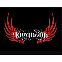 Vagabond Co logo, Vagabond Co contact details