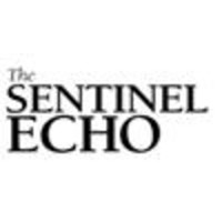 Sentinel Echo logo, Sentinel Echo contact details