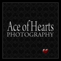 Ace of Hearts Photography logo, Ace of Hearts Photography contact details