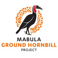 Mabula Ground Hornbill Project logo, Mabula Ground Hornbill Project contact details