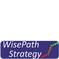 WisePath Strategy LLC logo, WisePath Strategy LLC contact details