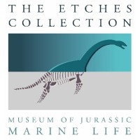 The Etches Collection logo, The Etches Collection contact details