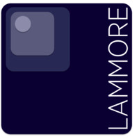 Lammore Consulting Ltd logo, Lammore Consulting Ltd contact details