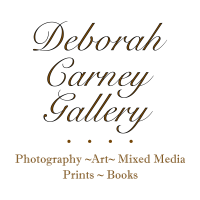 Deborah Carney Gallery logo, Deborah Carney Gallery contact details