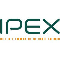 IPEX NV/SA logo, IPEX NV/SA contact details