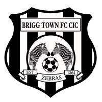 Brigg Town Football Club (CIC) logo, Brigg Town Football Club (CIC) contact details