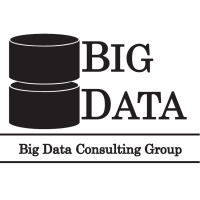 BigData Consulting Group logo, BigData Consulting Group contact details