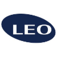 Leo Consulting Inc logo, Leo Consulting Inc contact details