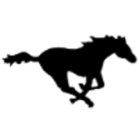 tinyHorse Solutions logo, tinyHorse Solutions contact details