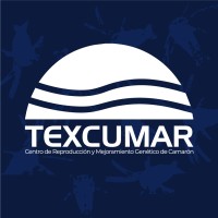 Texcumar logo, Texcumar contact details