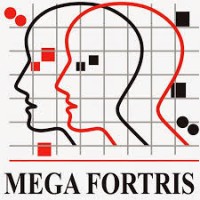 Mega Fortris Americas logo, Mega Fortris Americas contact details