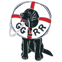 Golden Gate Labrador Retriever Rescue logo, Golden Gate Labrador Retriever Rescue contact details