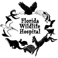 Florida Wildlife Hospital Inc logo, Florida Wildlife Hospital Inc contact details