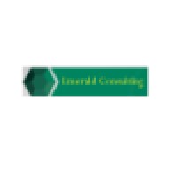 Emerald Consulting Private Ltd logo, Emerald Consulting Private Ltd contact details