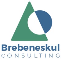 Brebeneskul Consulting logo, Brebeneskul Consulting contact details