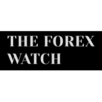 The Forex Watch logo, The Forex Watch contact details