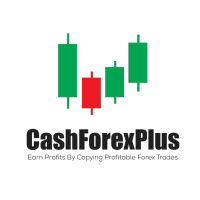 CashForexPlus logo, CashForexPlus contact details