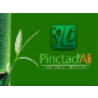 PINCTADALI VIETNAM logo, PINCTADALI VIETNAM contact details