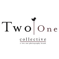 Two One Collective logo, Two One Collective contact details