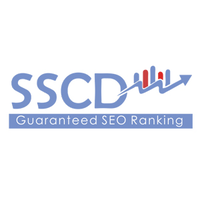 seo services company delhi logo, seo services company delhi contact details