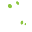 Loex logo, Loex contact details