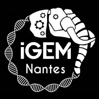 iGEM Nantes logo, iGEM Nantes contact details