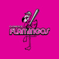 Florence Flamingos logo, Florence Flamingos contact details