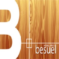 Besuel S.A. logo, Besuel S.A. contact details