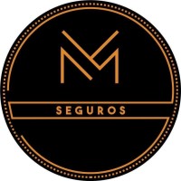 MVSEGUROS logo, MVSEGUROS contact details