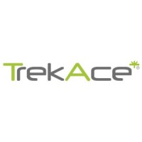 TrekAce Technologies Limited logo, TrekAce Technologies Limited contact details