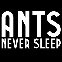 Ants Never Sleep logo, Ants Never Sleep contact details