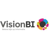 VisionBI BV logo, VisionBI BV contact details