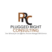 Plugged Right Consulting logo, Plugged Right Consulting contact details