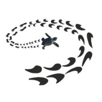 Sea Turtle Trackers, Inc. logo, Sea Turtle Trackers, Inc. contact details