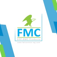 Falcon Misr co logo, Falcon Misr co contact details