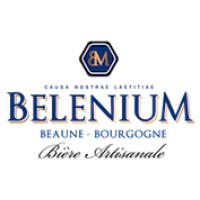 BELENIUM logo, BELENIUM contact details