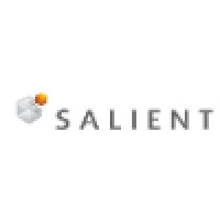 Salient Business Intelligence Inc. logo, Salient Business Intelligence Inc. contact details