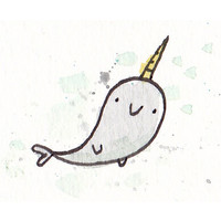 Narwhal Consultora logo, Narwhal Consultora contact details