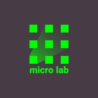 Micro Lab Engineering Club logo, Micro Lab Engineering Club contact details