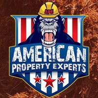 American Property Experts logo, American Property Experts contact details