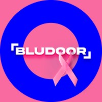 Bludoor Painéis logo, Bludoor Painéis contact details