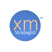 xmStrategist logo, xmStrategist contact details