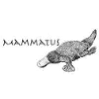 Mammatus Inc. logo, Mammatus Inc. contact details