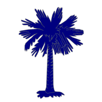 Palmetto Global Ventures logo, Palmetto Global Ventures contact details