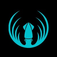 Squid Academy logo, Squid Academy contact details