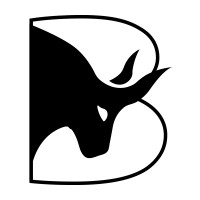 Bulleon.io logo, Bulleon.io contact details