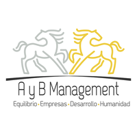 A y B Management logo, A y B Management contact details